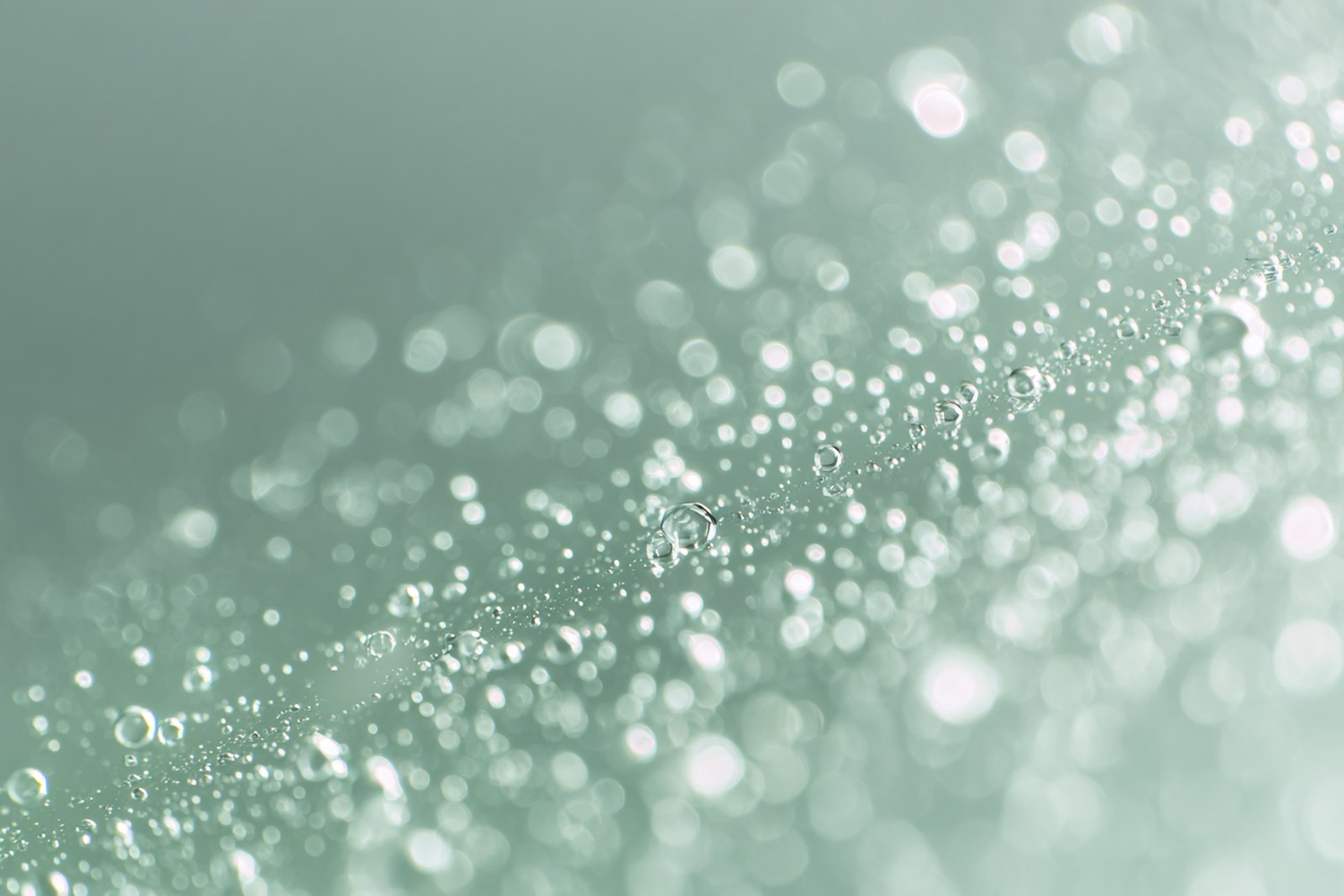 Fine water droplets on a soft green surface, suggesting hydration and moisture