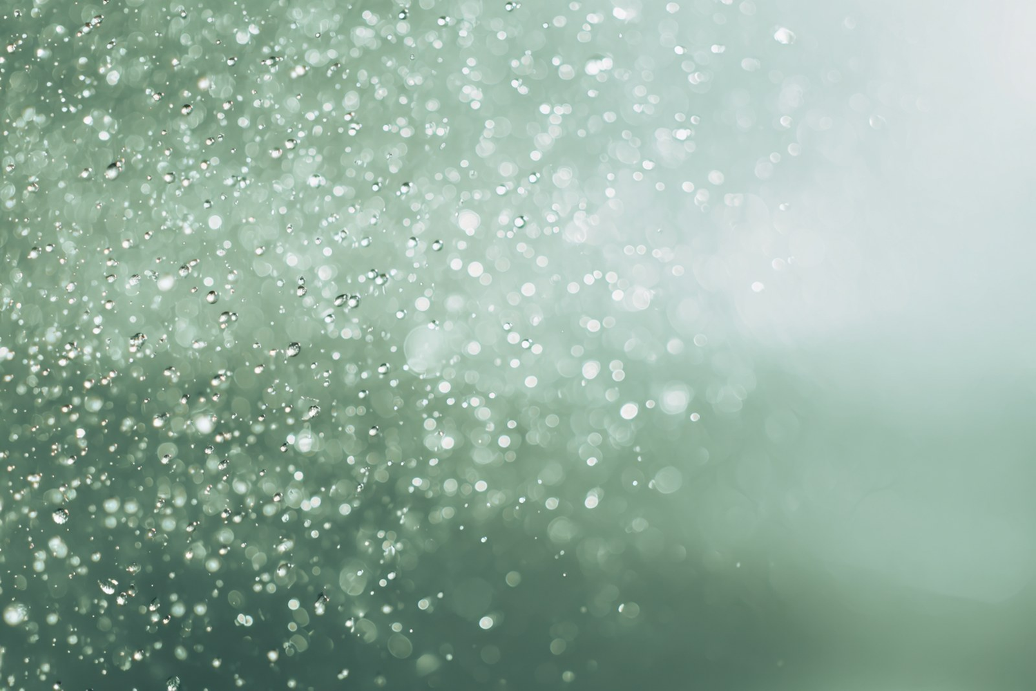 Fine water droplets in soft light, suggesting protection and a fresh finish