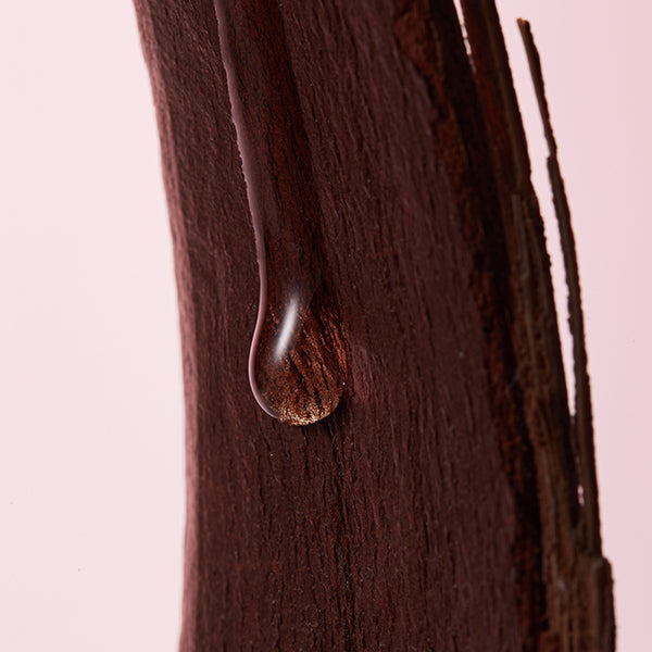 Maple Energy Infusing Serum