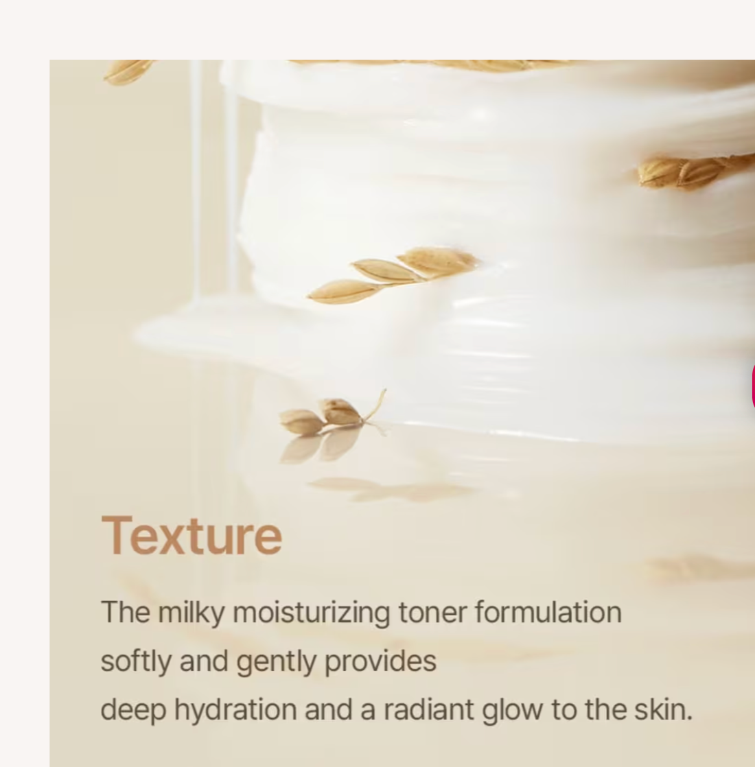 Rice Toner Pad