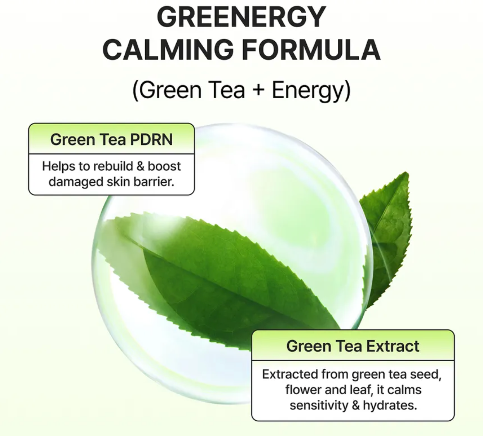 Green Tea Routine Set