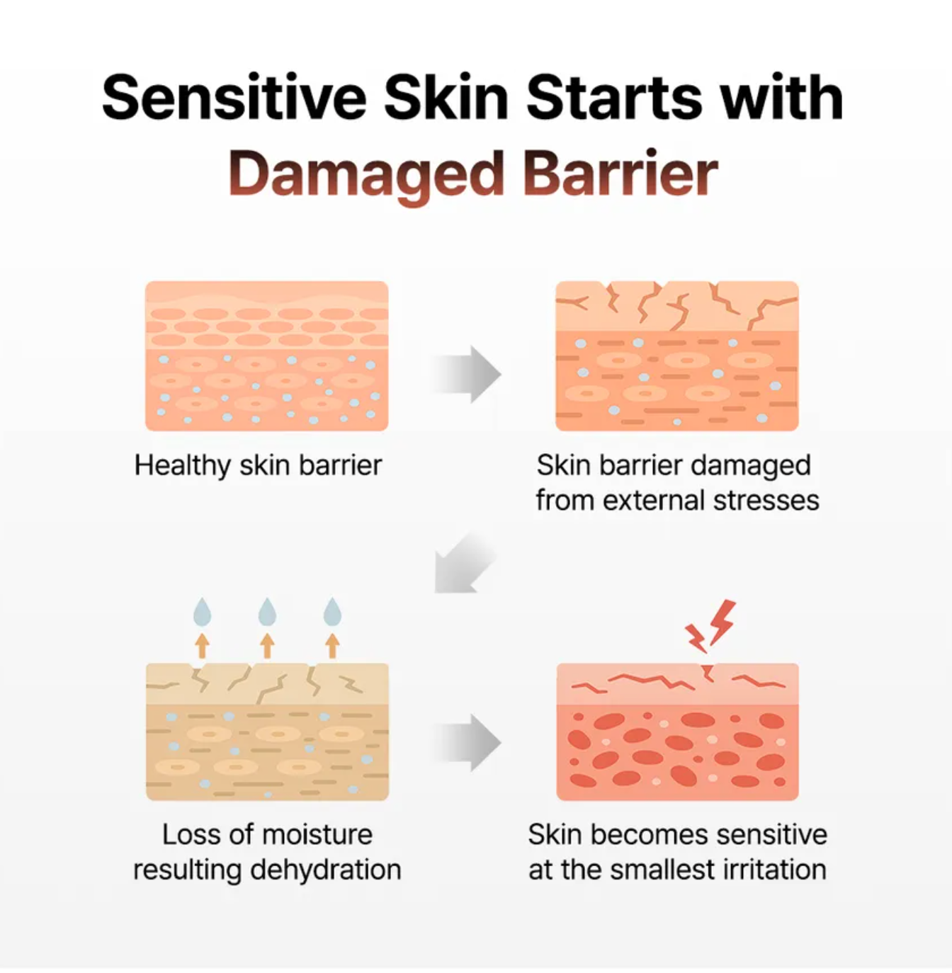 Green Tea & Ceramide Barrier Cream