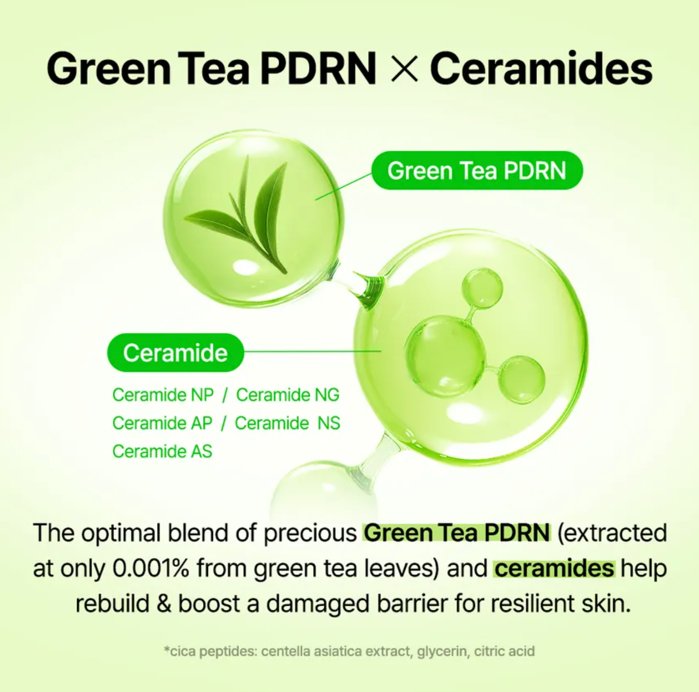 Green Tea & Ceramide Barrier Cream