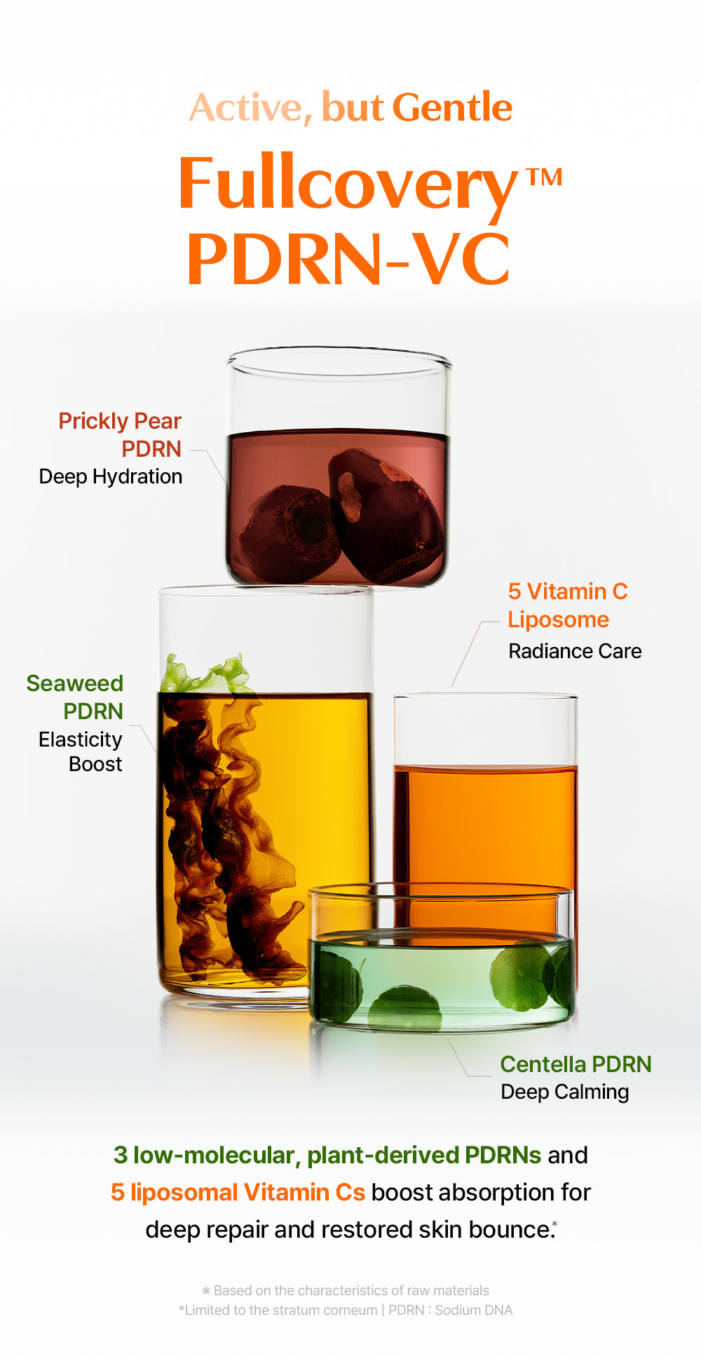 Vitamin PDRN Duo