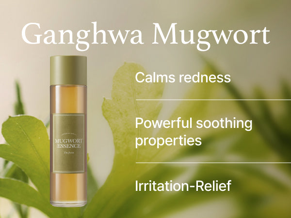 Mugwort Essence
