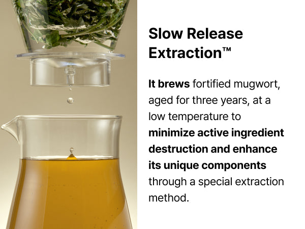 Mugwort Essence