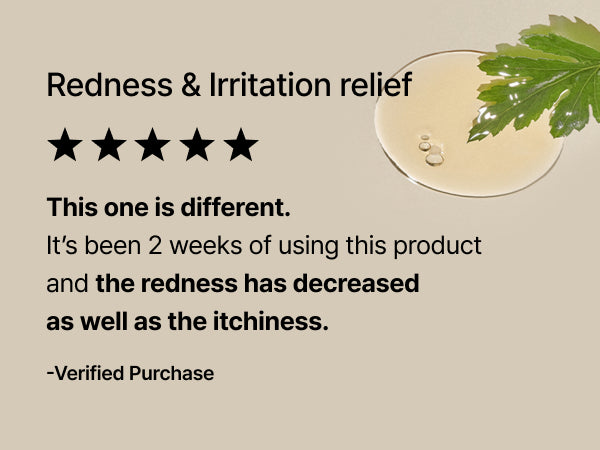 Mugwort Essence