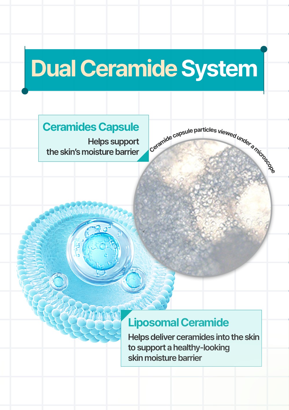 Rich Moist Barrier Capsule Cream dual ceramide system thumbnail
